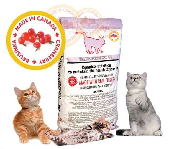 FELINE Perfection Adult Cat - kanadské kompletní krmivo pro kočky 1 kg